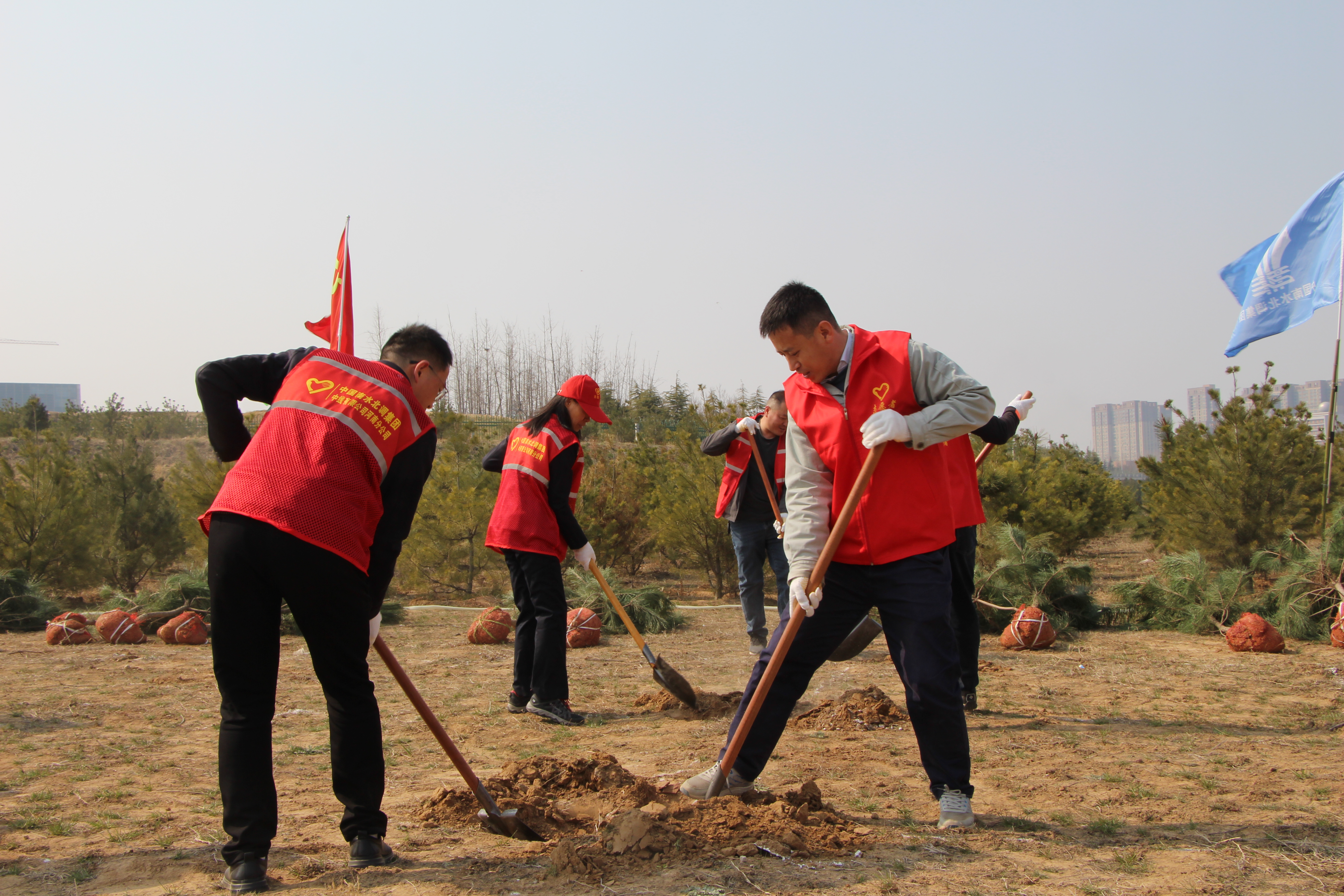 志愿者们为树苗找寻“新家” 志愿者们为树苗找寻“新家”