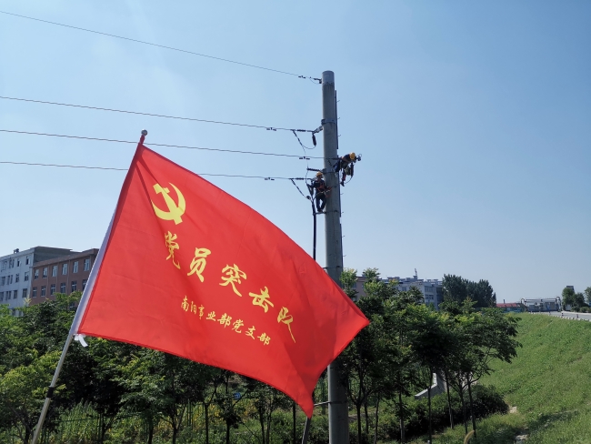 图片5