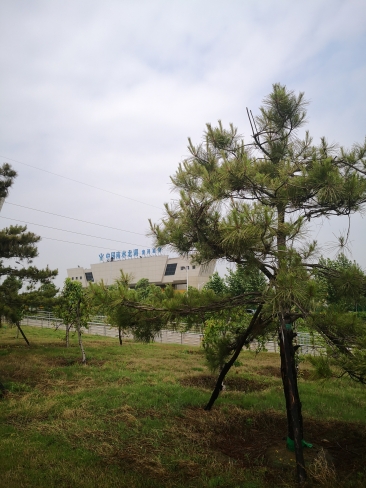 南水北调 生态工程