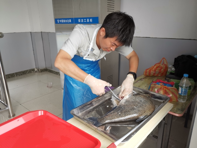 进行鱼类解剖