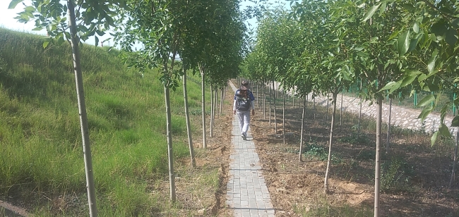 平凡的巡渠路