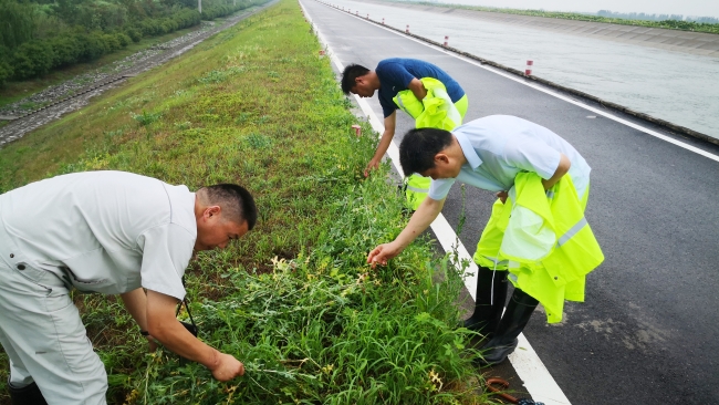 雨中排查