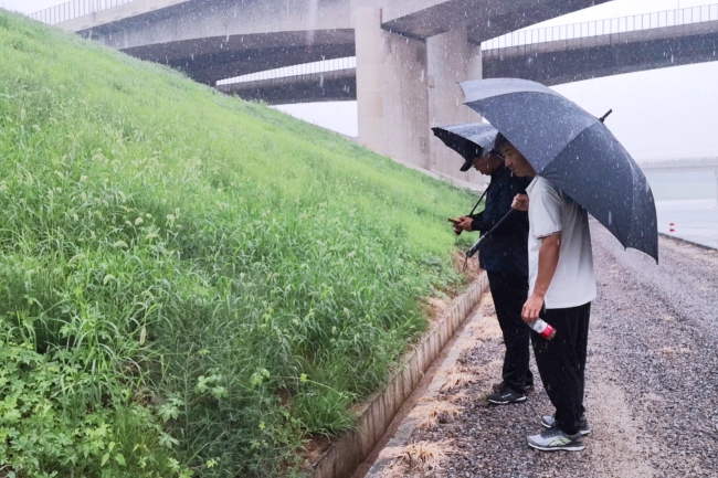 雨中巡视