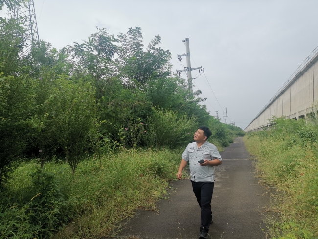 “外科”：线路巡查