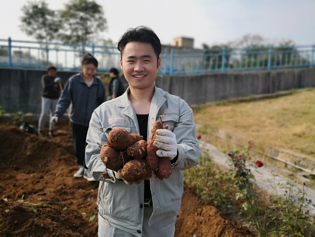 丰收的果实