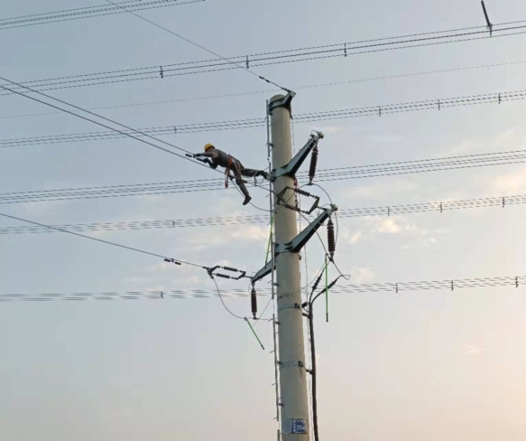 图片1