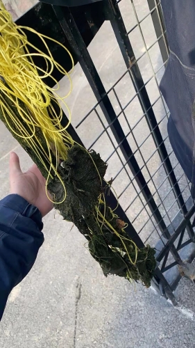 拆下的风筝线
