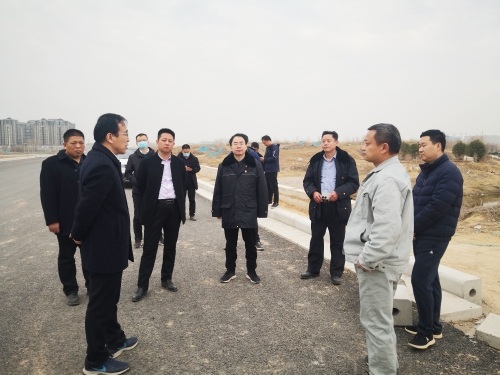大关庄左排进口河道联合排查