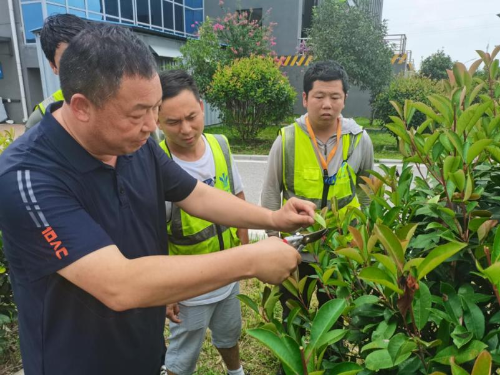 专家现场手把手教学